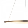 Фото Подвесной светильник Loft it Ring 10014L
