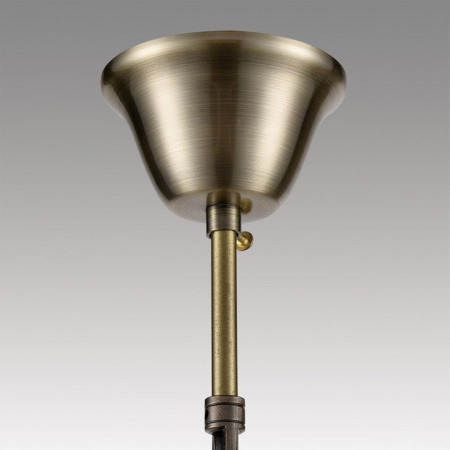 Фото Подвесная люстра Lumion Linn 8190/5