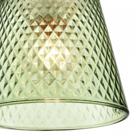 Фото Подвесной светильник Lumion Manola 8047/1А