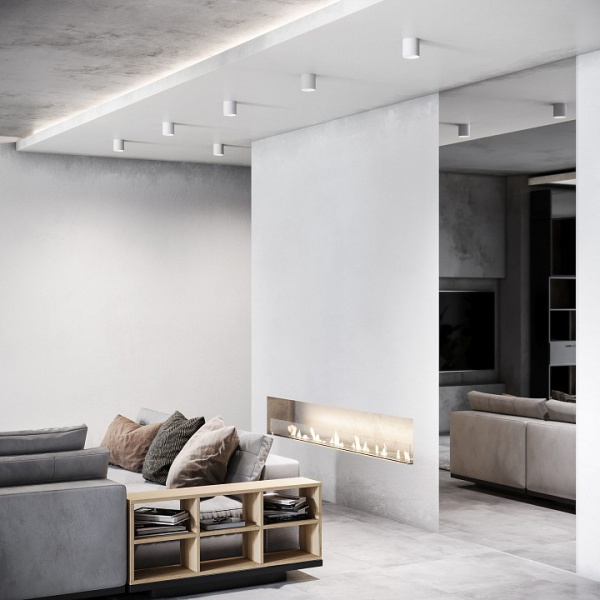 Фото Накладной светильник Elektrostandard Orson a062930