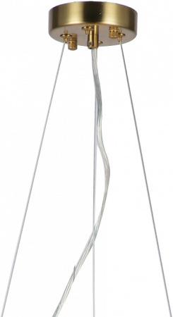 Фото Подвесная люстра Favourite Philomela 3054-6P