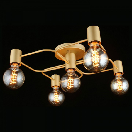 Фото Потолочная люстра Aployt Elison APL.911.07.05