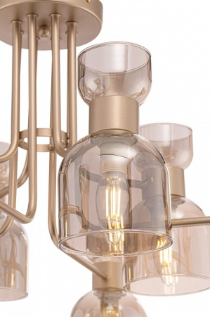 Фото Потолочная люстра Freya Isla FR5094PL-08G