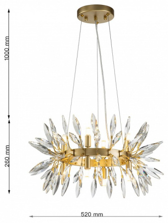 Фото Подвесная люстра Favourite Rays 4058-8P