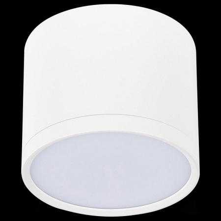 Фото Накладной светильник ST-Luce Rene ST113.532.09