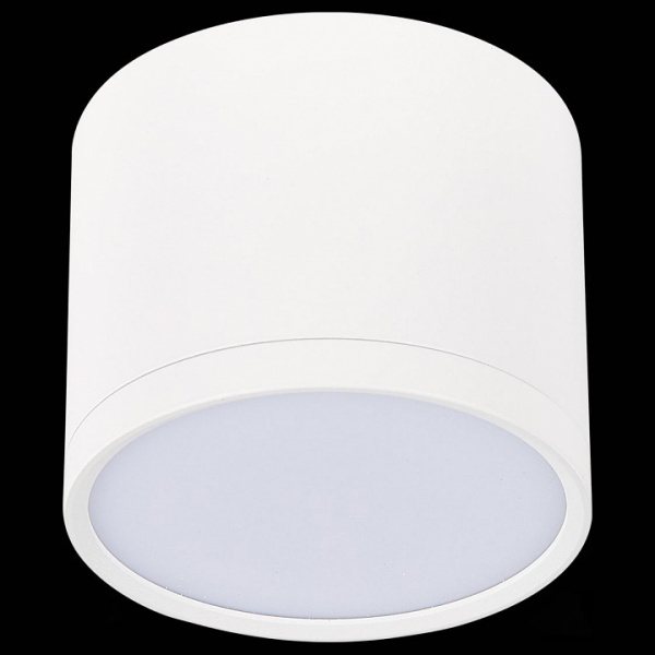 Фото Накладной светильник ST-Luce Rene ST113.532.09