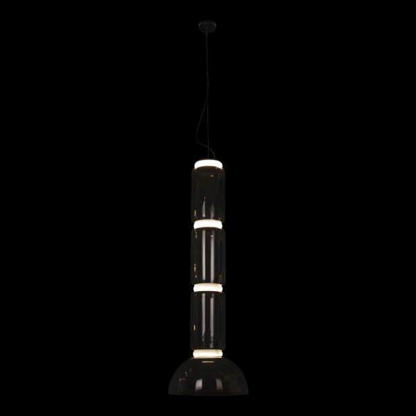 Открыть Подвесной светильник Loft it Noctambule 10192/L Фото Подвесной светильник Loft it Noctambule 10192/L