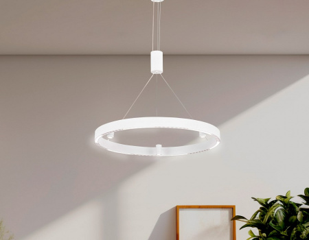 Фото Подвесной светильник Ambrella Light FL FL5844