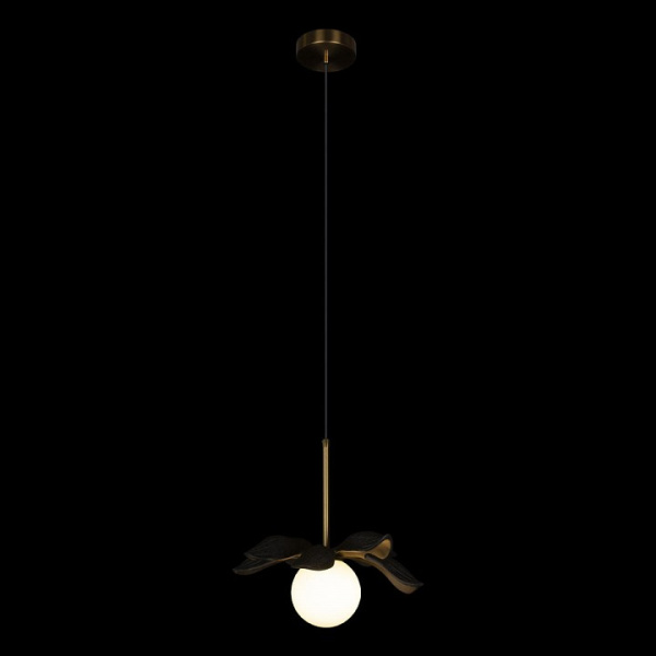 Фото Подвесной светильник Loft it Monro 10213/A Black
