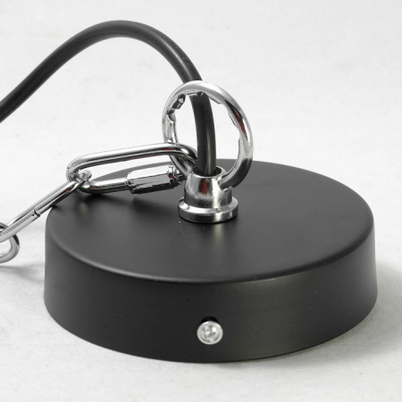 Фото Подвесной светильник Lussole Ketchikan LSP-8029