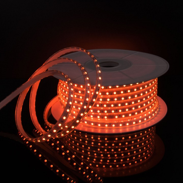Фото Лента светодиодная Elektrostandard LS002 220V RGB a053641