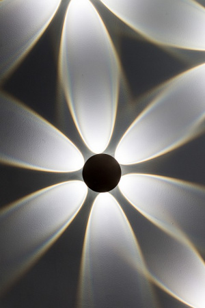 Фото Накладной светильник Novotech Calle 358463