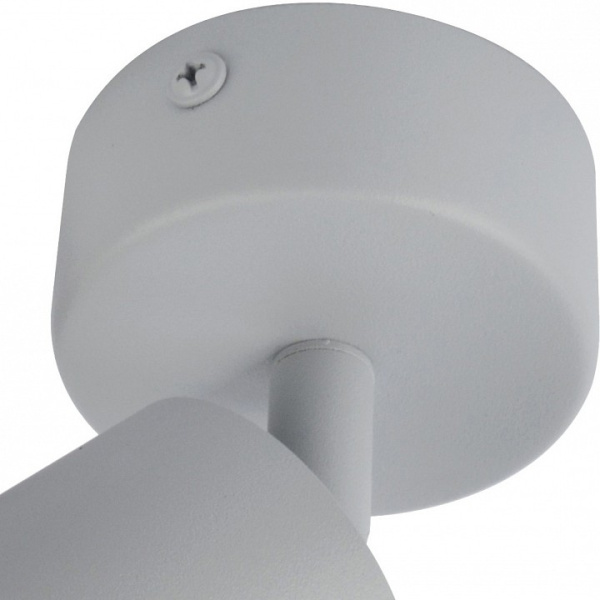 Фото Спот Arte Lamp Aquarius A3216PL-1GY