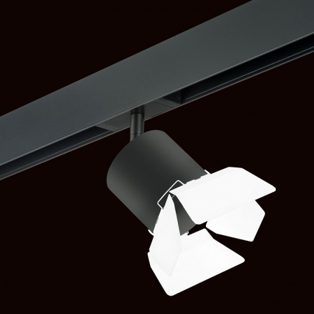 Фото Светильник на штанге Lightstar Rullo PRO3487486