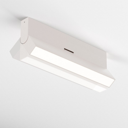 Фото Накладной светильник Maytoni Basis Rot C133CL-12W3K-W