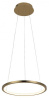 Фото Подвесной светильник Loft it Ring 10014S