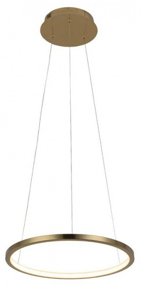 Открыть Подвесной светильник Loft it Ring 10014S Фото Подвесной светильник Loft it Ring 10014S