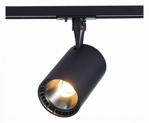 Фото Светильник на штанге ST-Luce Cami ST351.446.15.36