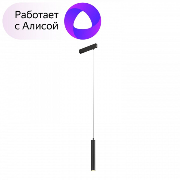 Фото Подвесной светильник Denkirs DK8008 DK8008-BK