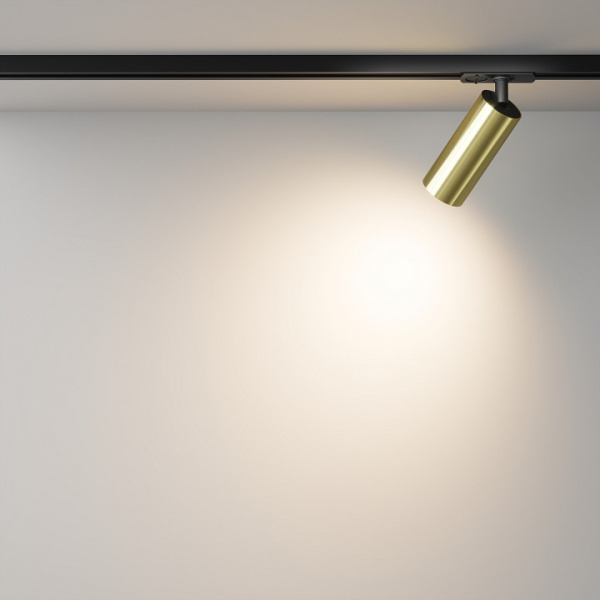 Фото Светильник на штанге Maytoni Focus LED TR021-1-12W3K-W-BBS