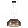 Фото Подвесной светильник Lumion Basalto 6598/3C