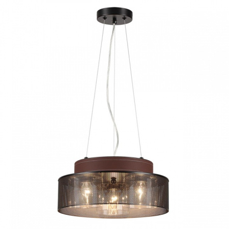 Фото Подвесной светильник Lumion Basalto 6598/3C