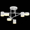 Фото Потолочная люстра EVOLUCE Nobel SLE201052-06
