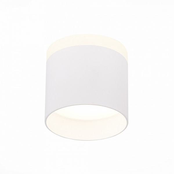 Фото Накладной светильник ST-Luce Panaggio ST102.542.09