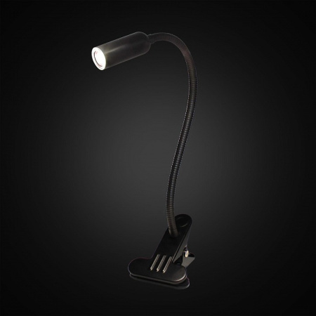 Фото Настольная лампа офисная Citilux Ньютон CL803061N