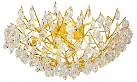 Фото Потолочная люстра Favourite Pluvia 4162-10C