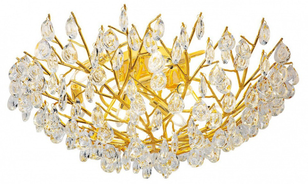 Фото Потолочная люстра Favourite Pluvia 4162-10C