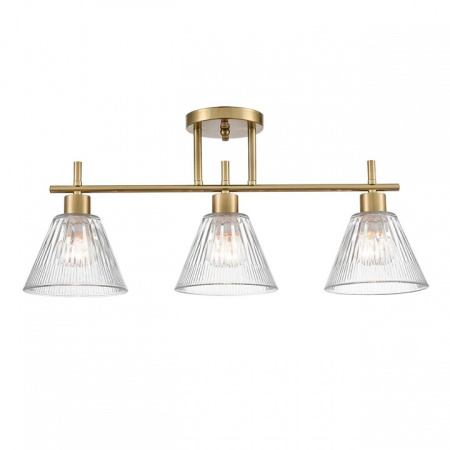 Фото Светильник на штанге Lumion Vivian 8188/3C