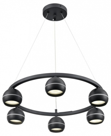 Фото Подвесная люстра Lumion Luazana 8242/6