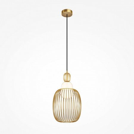 Фото Подвесной светильник Maytoni Levitation MOD376PL-01G1