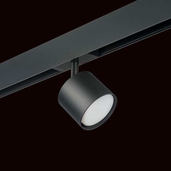 Фото Светильник на штанге Lightstar Rullo PRO3487