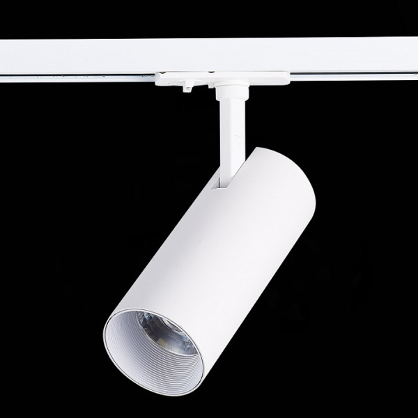 Фото Светильник на штанге ST-Luce Mono ST350.536.20.36