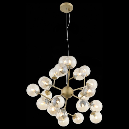 Фото Подвесная люстра ST-Luce Pallеre SL438.203.24