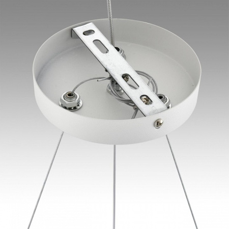 Фото Подвесная люстра Lumion Luazana 8254/6