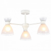 Люстра на штанге Ambrella Light TR TR3177 Люстра на штанге Ambrella Light TR TR3177