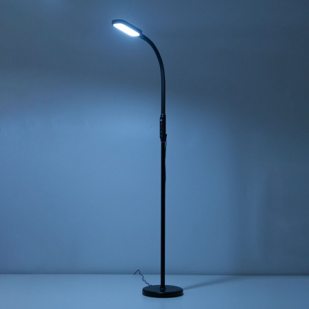 Фото Торшер Citilux Марк CL804021