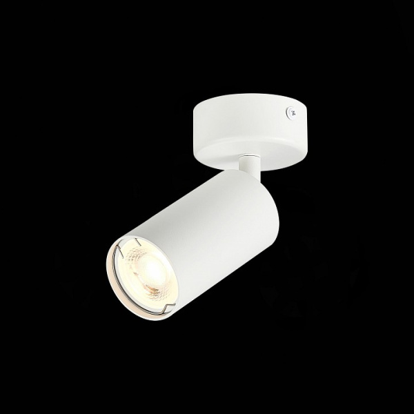 Фото Спот ST-Luce Dario ST303.502.01