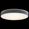 Открыть Накладной светильник Loft it Axel 10001/36 Grey Фото Накладной светильник Loft it Axel 10001/36 Grey