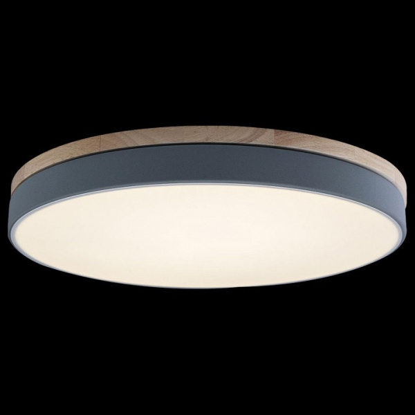 Фото Накладной светильник Loft it Axel 10001/36 Grey