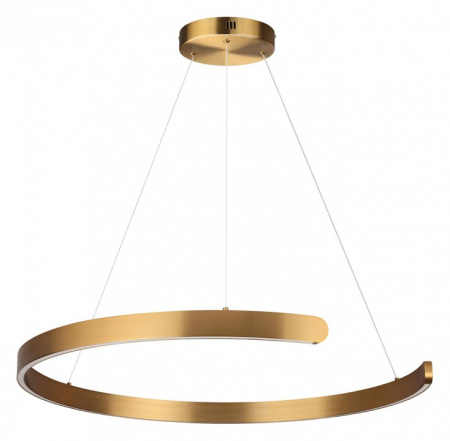 Фото Подвесной светильник Lumion Indie 6535/57L