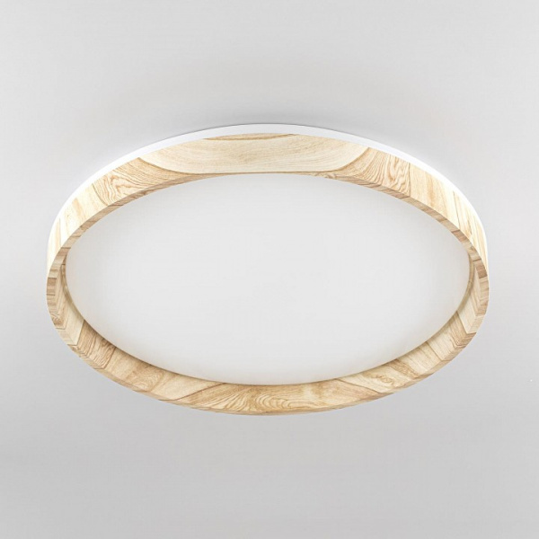 Фото Накладной светильник Citilux ENZO CL753452G