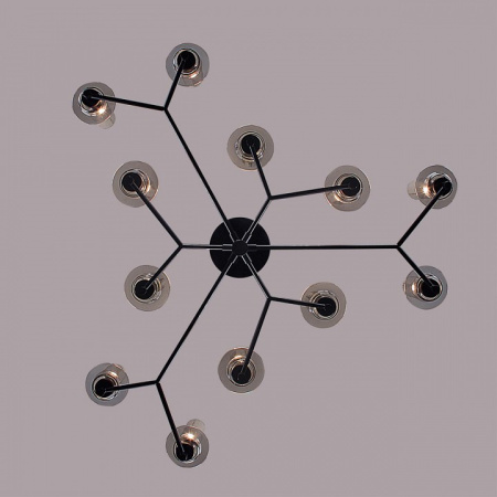 Фото Люстра на штанге Lumion Madonna 6555/12C