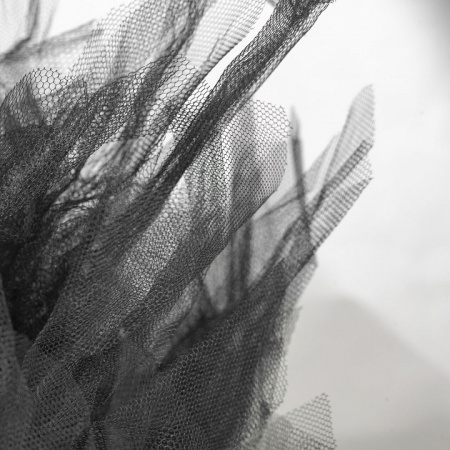 Фото Накладной светильник Lussole Clarksville GRLSP-8727