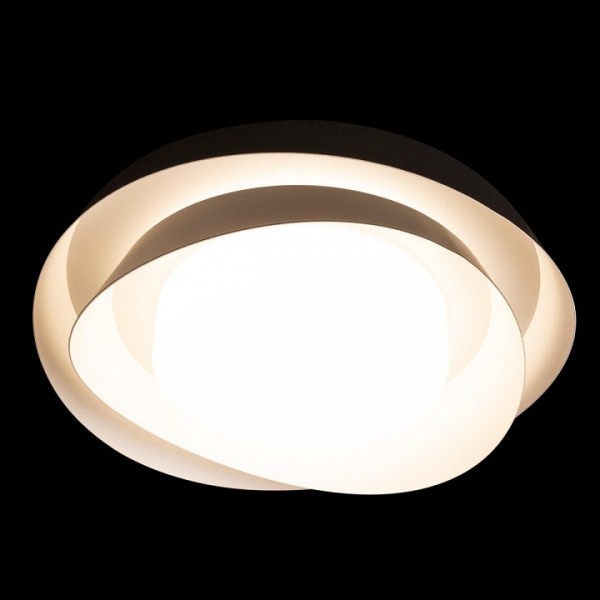 Открыть Накладной светильник Loft it Petale 10256 Black Фото Накладной светильник Loft it Petale 10256 Black