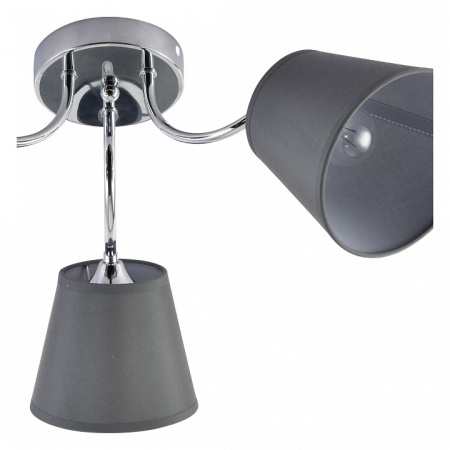 Фото Потолочная люстра Rivoli Alexa Б0059973