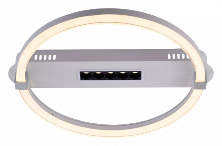 Фото Накладной светильник Escada Aspect 10253/1LED